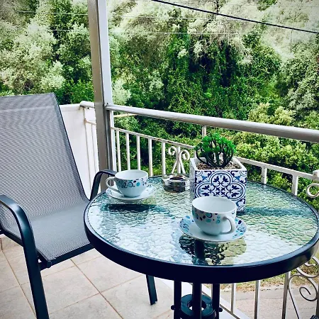 Sofia's House シヴォタ